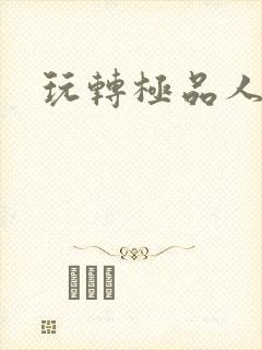 玩转极品人生封面