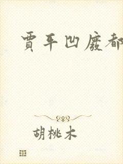 贾平凹废都封面