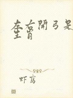 左右开弓是什么生肖封面