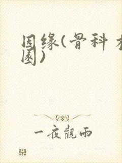 因缘(骨科 校园)