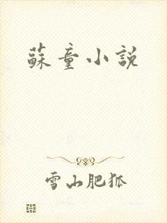 苏童小说封面