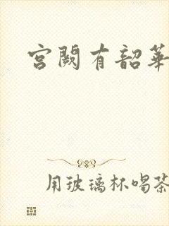 宫阙有韶华