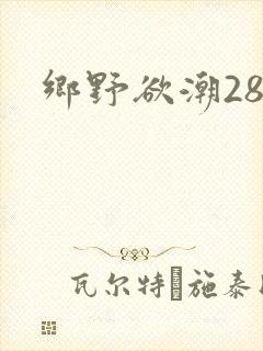 乡野欲潮28章