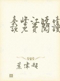 秦峰江晓晴的小说免费阅读封面