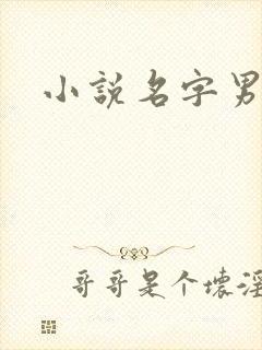 小说名字男生