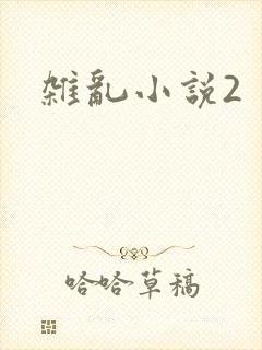 杂乱小说2