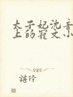 太子妃沈音和皇上的宠文小说