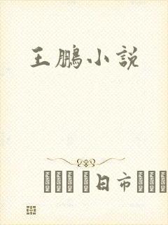 王鹏小说