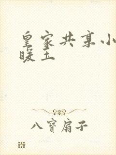 皇家共享小公主暖玉封面