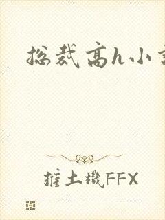 总裁高h小说封面