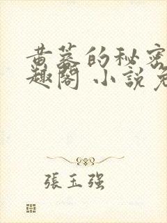 黄蓉的秘密 笔趣阁 小说免费阅读封面