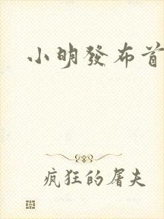 小明发布首页