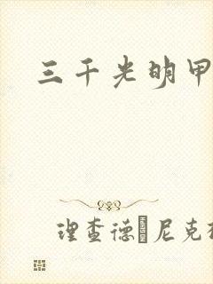 三千光明甲