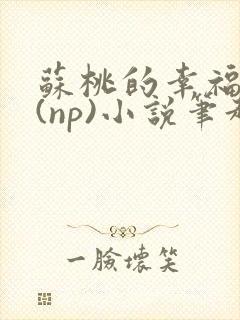 苏桃的幸福生活(np)小说笔趣阁