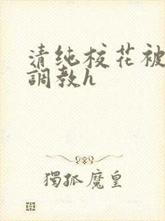 清纯校花被地狱调教h
