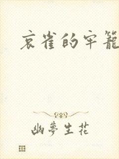 哀雀的牢笼封面
