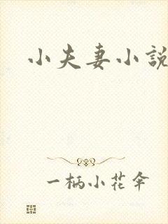 小夫妻小说
