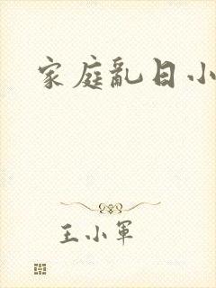 家庭乱日小说封面