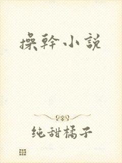 操干小说