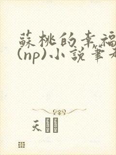 苏桃的幸福生活(np)小说笔趣阁沐沐