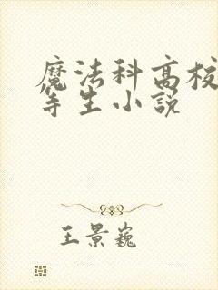 魔法科高校的劣等生小说