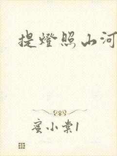 提灯照山河