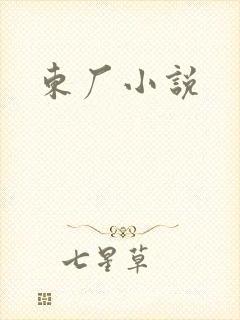 东厂小说封面
