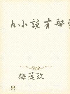 h小说有哪些