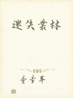 迷失丛林