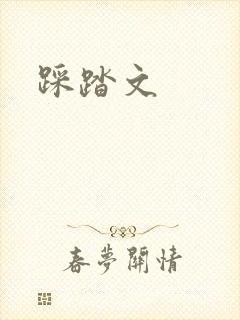 踩踏文封面