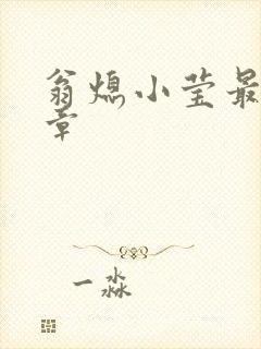 翁熄小莹最新节章