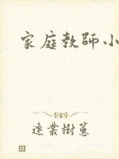 家庭教师小说封面