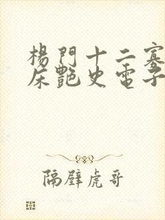 杨门十二寡妇肉床艳史电子书