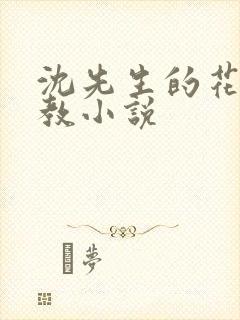 沈先生的花式管教小说