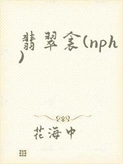 翡翠衾(nph)封面