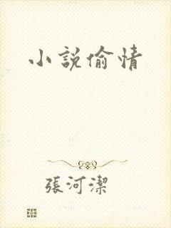 小说偷情