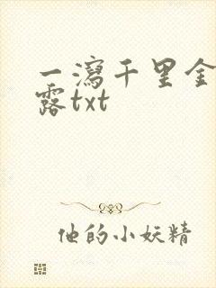 一泻千里金银花露txt