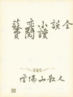苏奕小说全文免费阅读封面