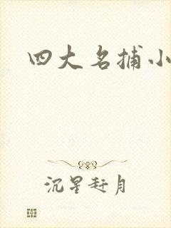 四大名捕小说
