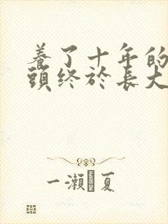 养了十年的小丫头终于长大了