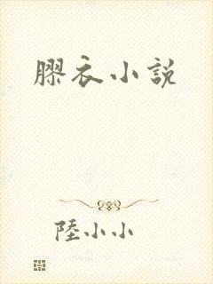 胶衣小说