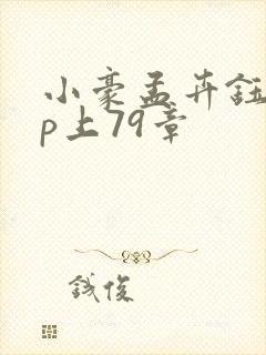 小豪孟卉钰慧三p上79章