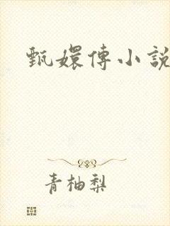甄嬛传小说