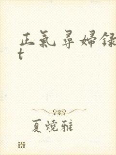 正气寻妇录txt