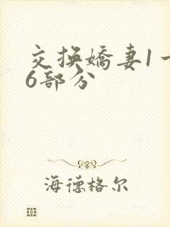 交换娇妻1一36部分