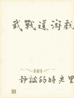 武战道游戏