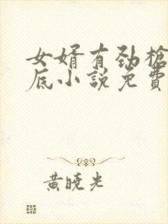 女婿有劲枪枪到底小说免费阅读