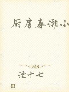 厨房春潮小说封面