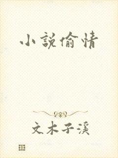 小说偷情