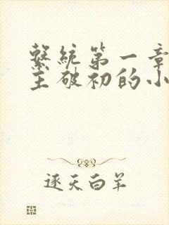 系统第一章给宿主破初的小说封面